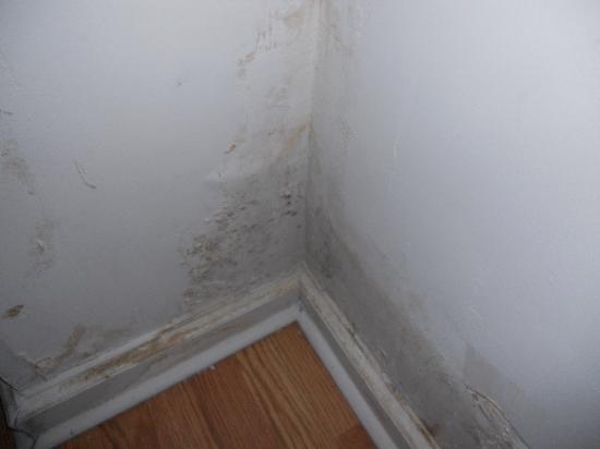 How Damp Proofing Berkshire Can Provide Ultimate Solutions