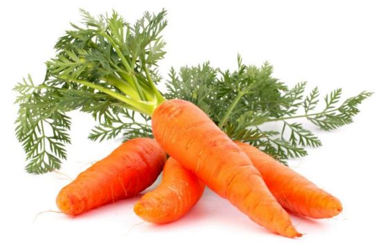 Relevance Of Carrots For Health