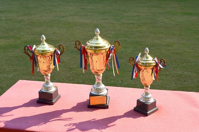 Trophy – A Complete Achievement For Giving Reward To Best One