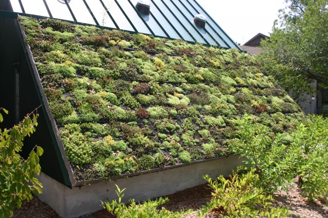 How To Create An Environment Friendly Roof System