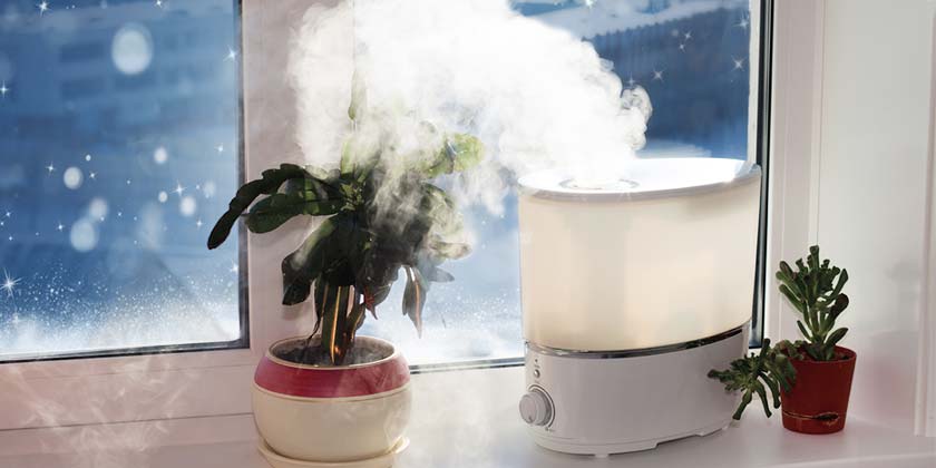 7 TIPS ON HOW TO CHOOSE THE RIGHT HUMIDIFIER