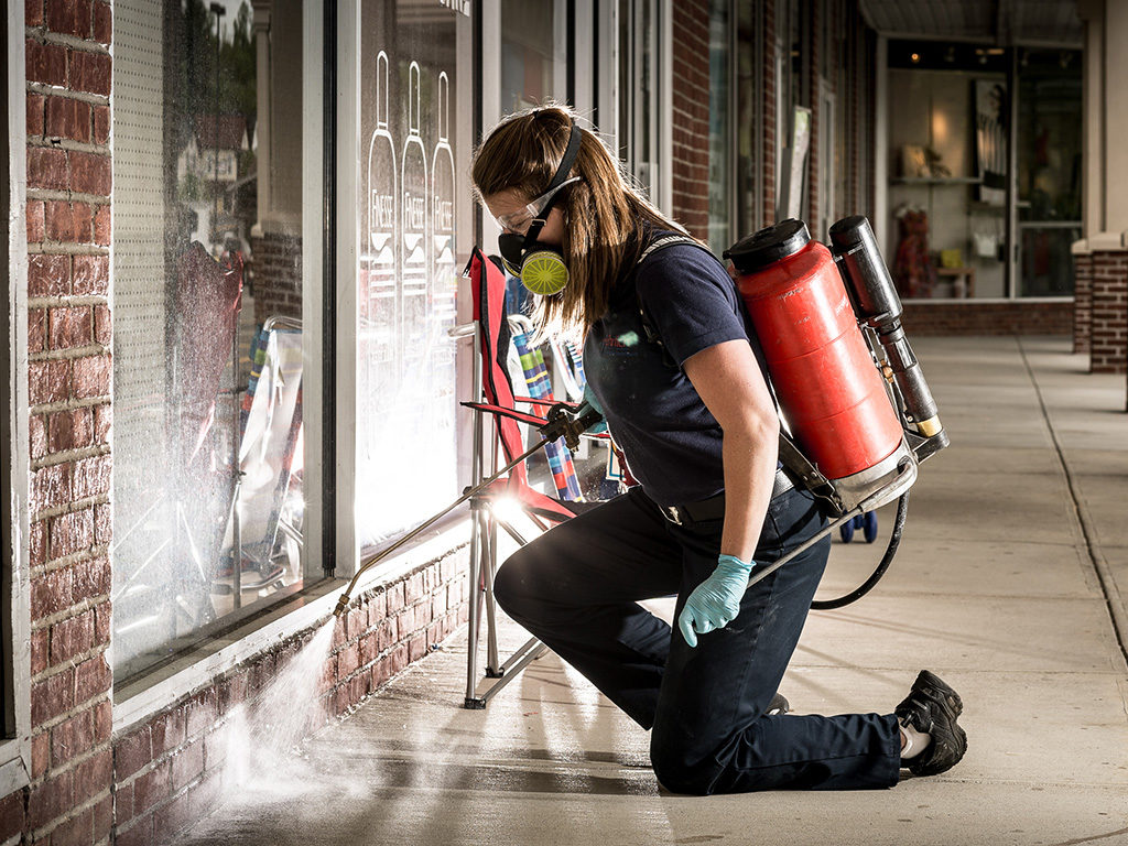 The Importance Of Professional Pest Control Services